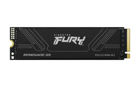4T FURY RENEGADE G5 M.2 2280 NVMe SSD
