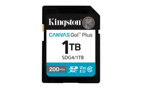 Kingston Technology Canvas Go! Plus, 1 TB