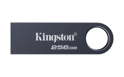 Kingston Technology DataTraveler 256GB SE9 G3 - Dark Nickel