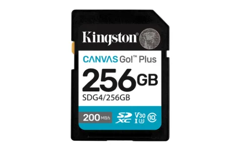 Kingston Technology Canvas Go! Plus, 256 GB
