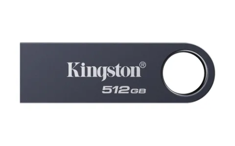 Kingston Technology DataTraveler 512GB SE9 G3 - Dark Nickel