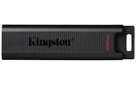 256GB DataTraveler Max 1000R/900W USB 3.2 Gen 2