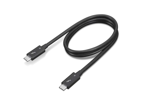 Lenovo 4X91K16968 Thunderbolt cable 0.7 m 40 Gbit/s Black