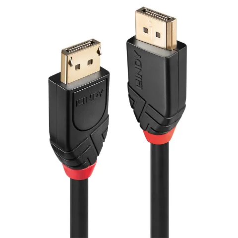 Lindy 41079 DisplayPort kabelis 15 m Juoda