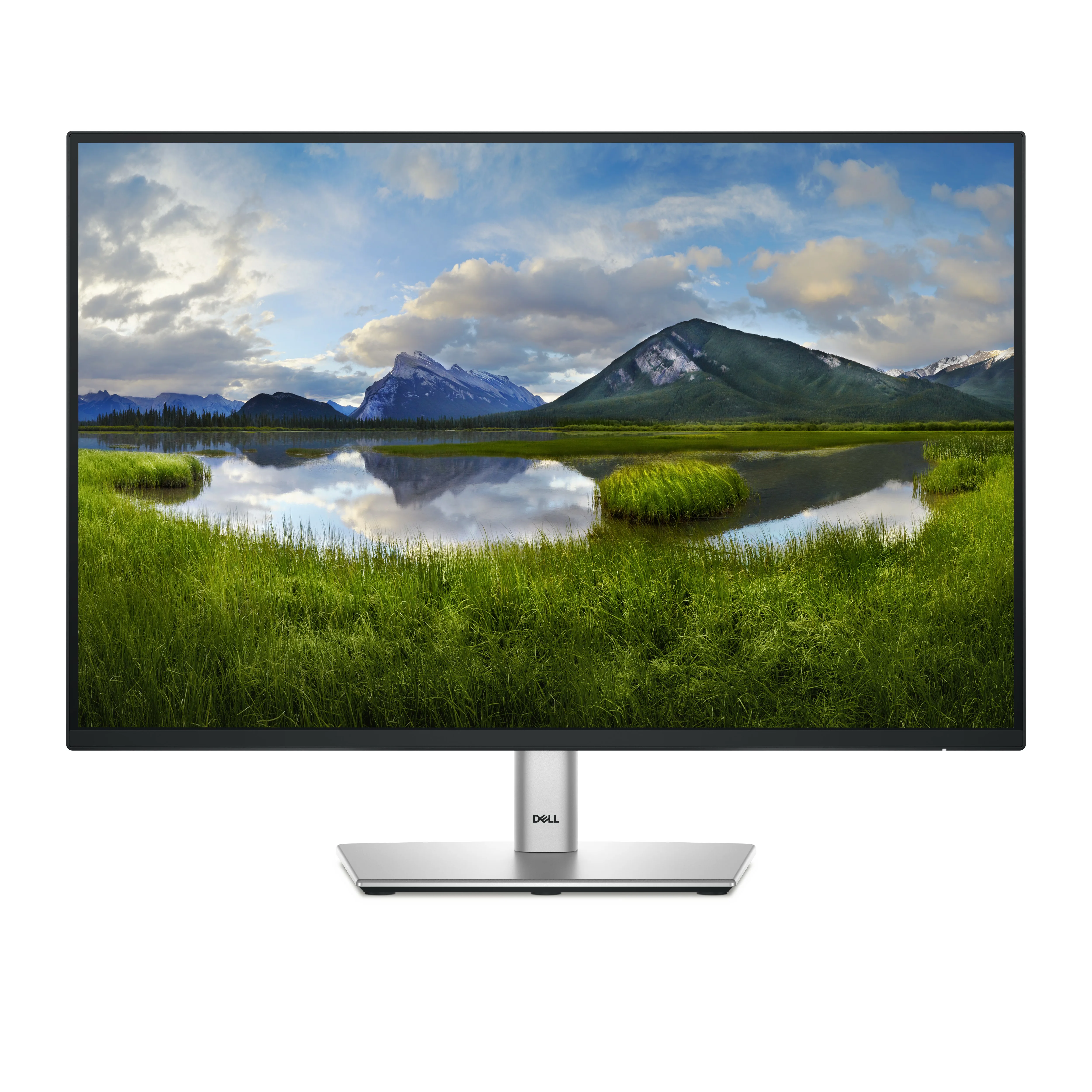 DELL DELL-P2425E