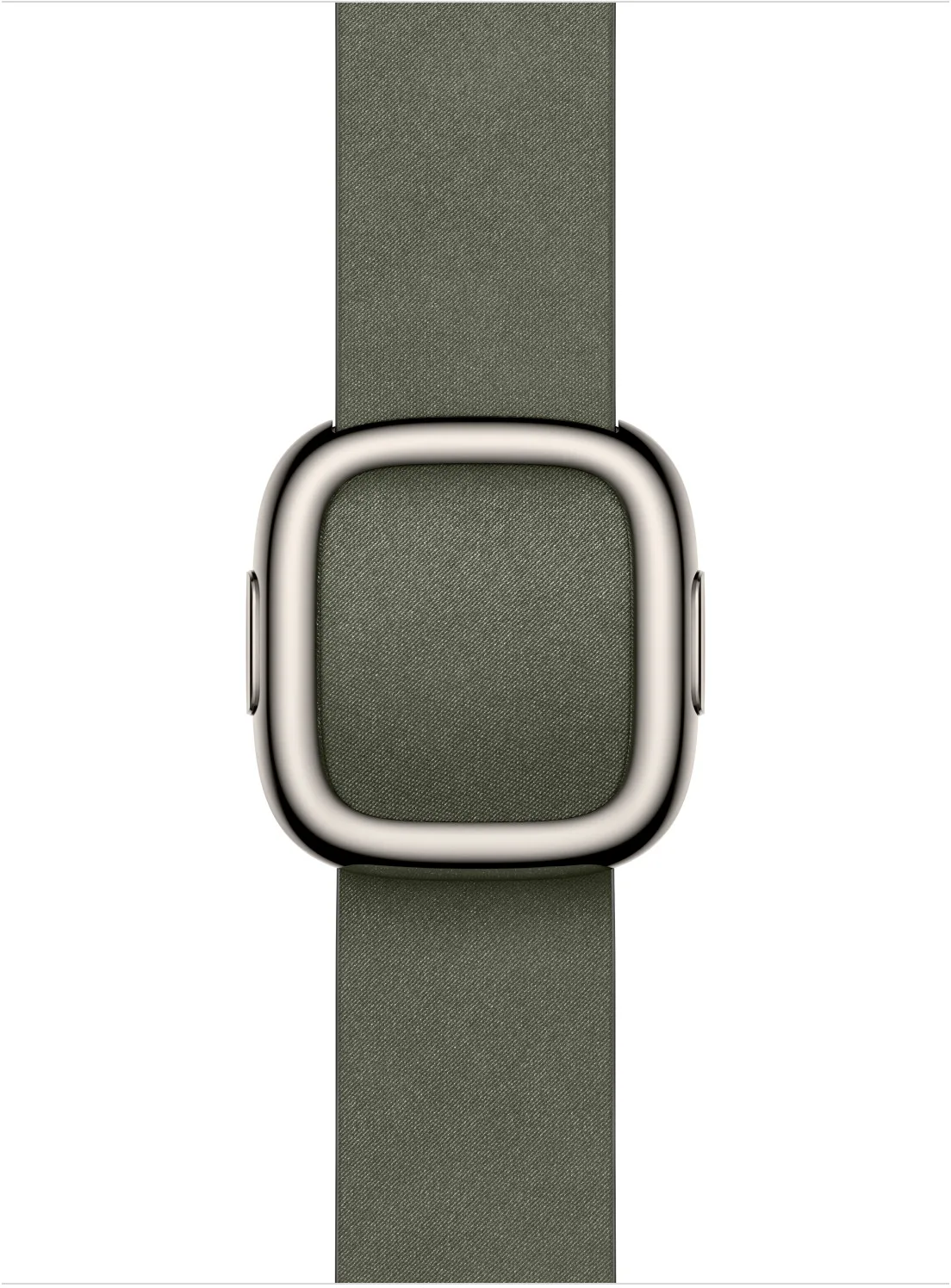 Apple Watch 42mm Sage Gray Modern Buckle Medium
