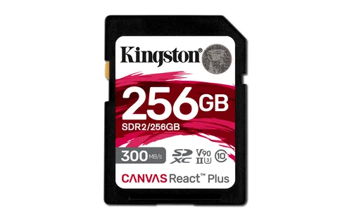 Kingston Technology SDR2/256GB